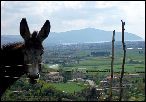 Mercoledì 1 maggio: Agropoli – monte Tresino e Punta Licosa – MTB Group Cicloverdi